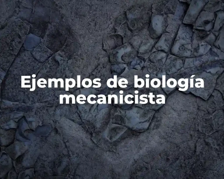 Ejemplos de biología mecanicista