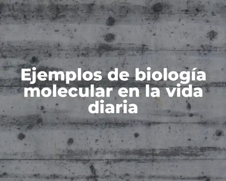 Ejemplos de biología molecular en la vida diaria