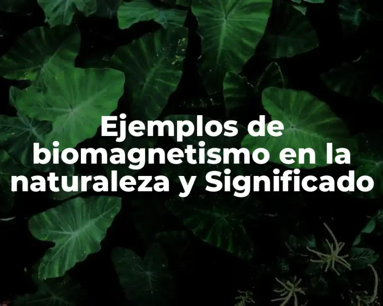 Ejemplos de biomagnetismo en la naturaleza y Significado