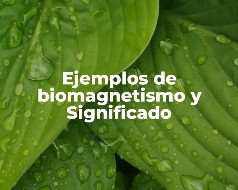 Ejemplos de biomagnetismo y Significado