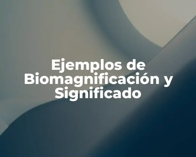 Ejemplos de Biomagnificación y Significado