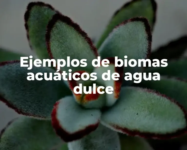 Ejemplos de biomas acuáticos de agua dulce