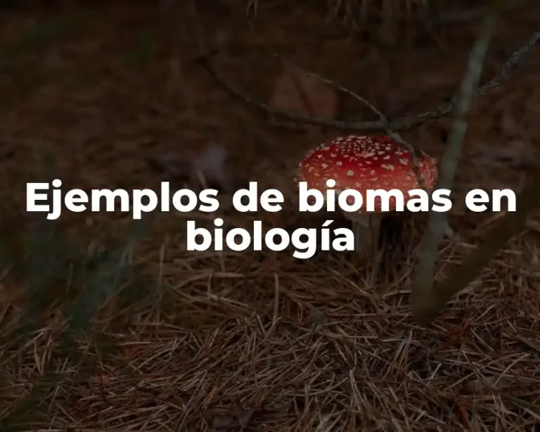 Ejemplos de biomas en biología
