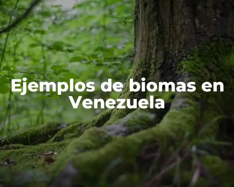 Ejemplos de biomas en Venezuela