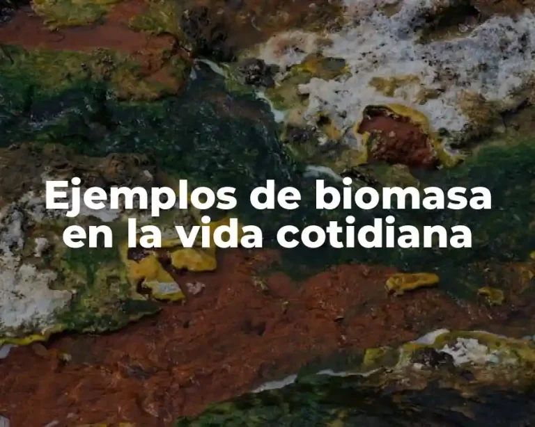Ejemplos de biomasa en la vida cotidiana