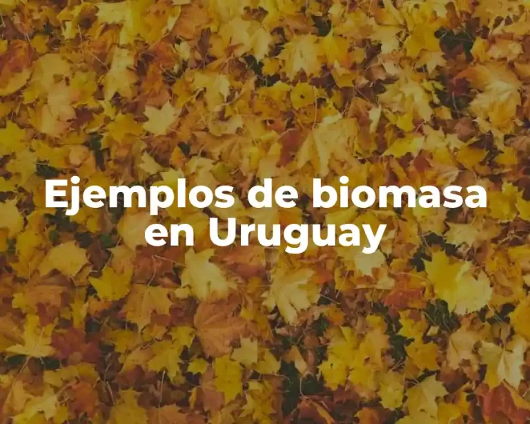 Ejemplos de biomasa en Uruguay