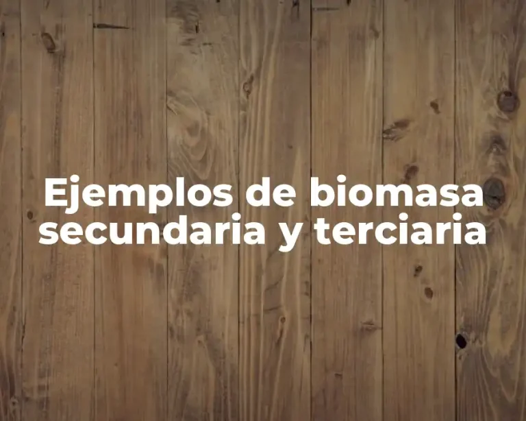 Ejemplos de biomasa secundaria y terciaria