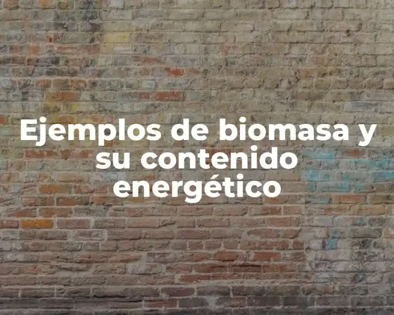 Ejemplos de biomasa y su contenido energético