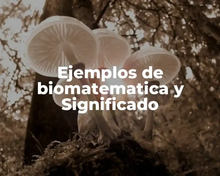 Ejemplos de biomatematica y Significado