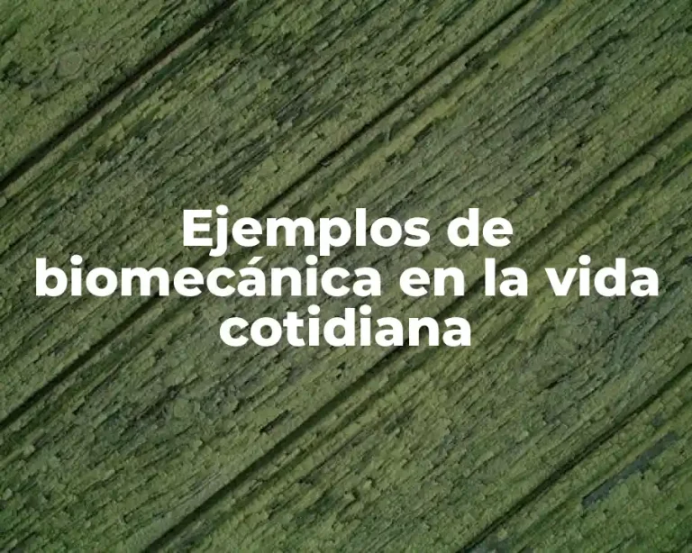 Ejemplos de biomecánica en la vida cotidiana