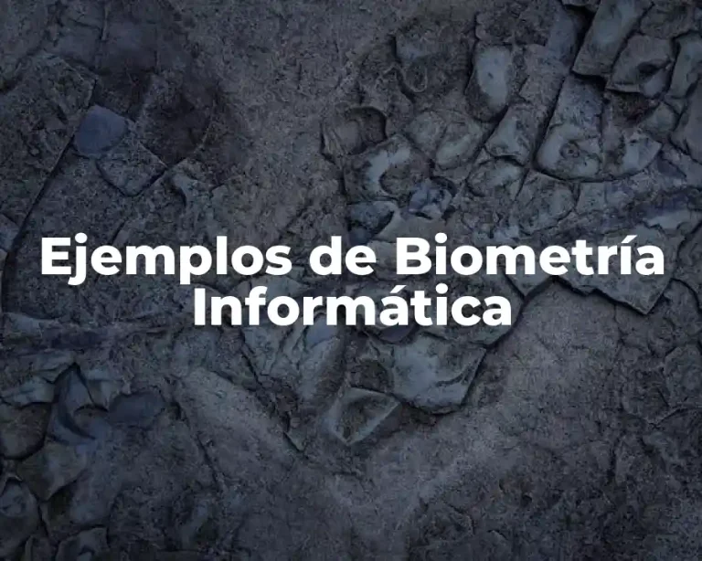 Ejemplos de Biometría Informática