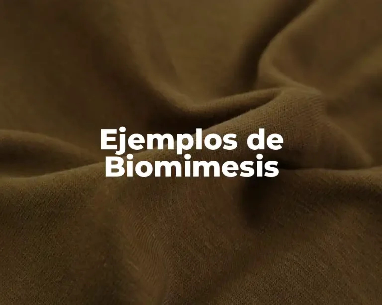 Ejemplos de Biomimesis