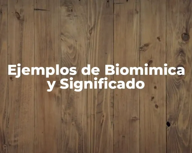 Ejemplos de Biomimica y Significado