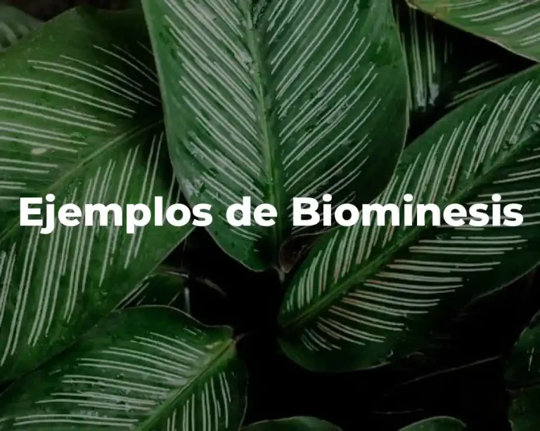 Ejemplos de Biominesis