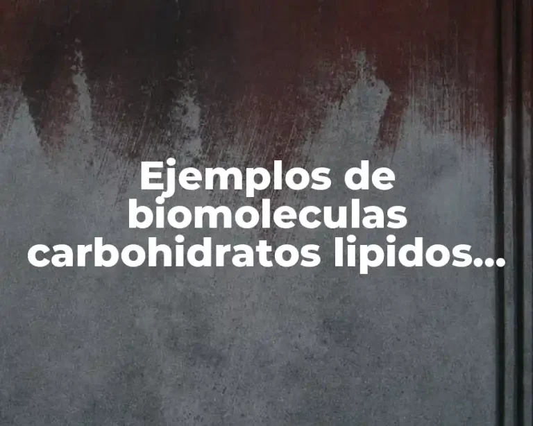 Ejemplos de biomoleculas carbohidratos lipidos proteinas y vitaminas