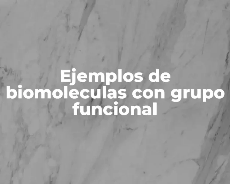 Ejemplos de biomoleculas con grupo funcional