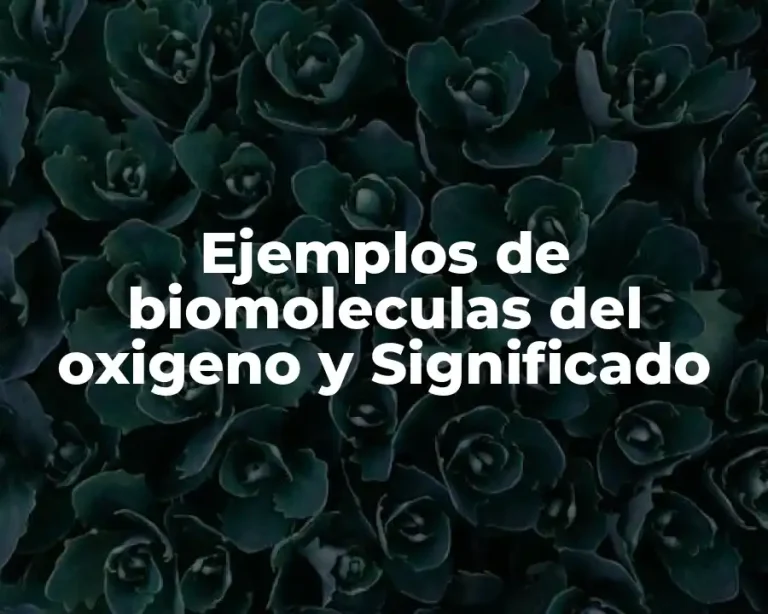 Ejemplos de biomoleculas del oxigeno y Significado