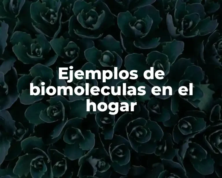Ejemplos de biomoleculas en el hogar