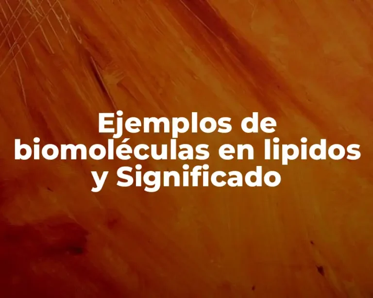 Ejemplos de biomoléculas en lipidos y Significado