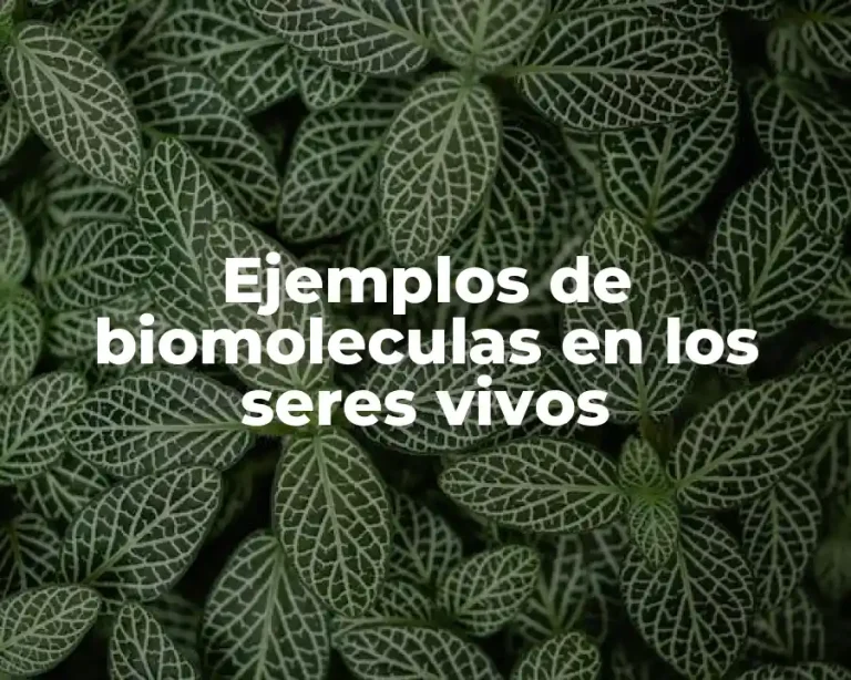 Ejemplos de biomoleculas en los seres vivos