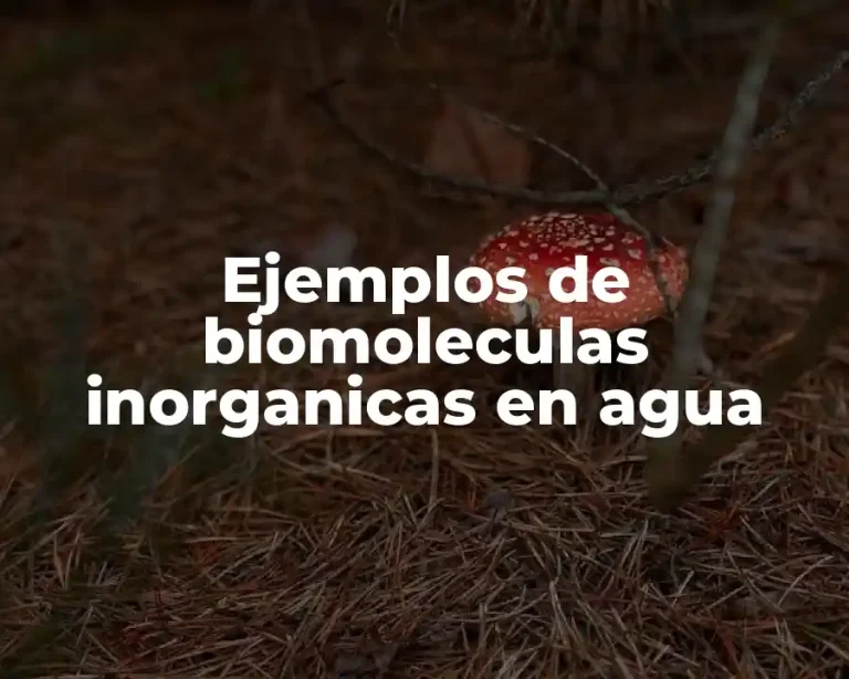 Ejemplos de biomoleculas inorganicas en agua