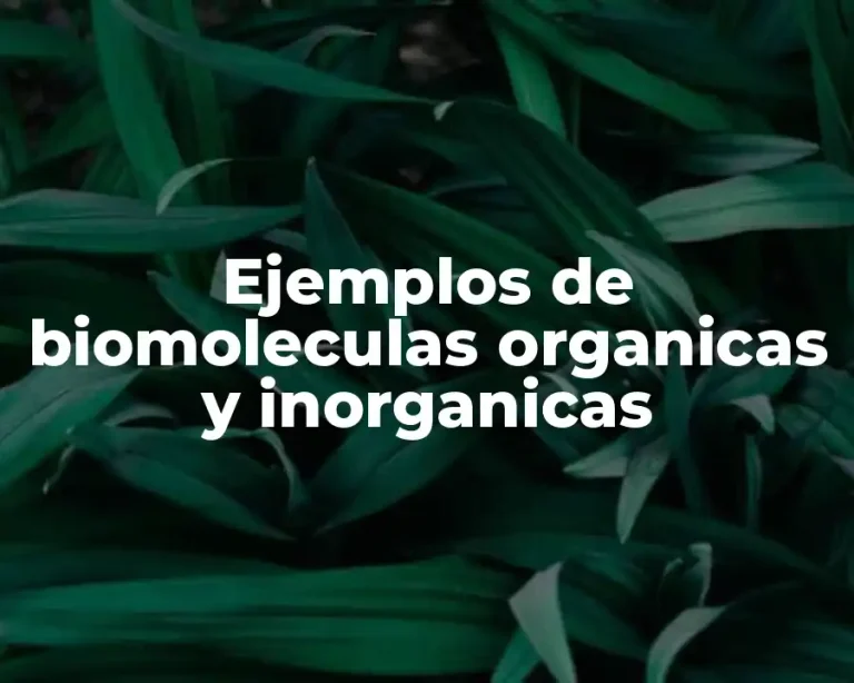Ejemplos de biomoleculas organicas y inorganicas