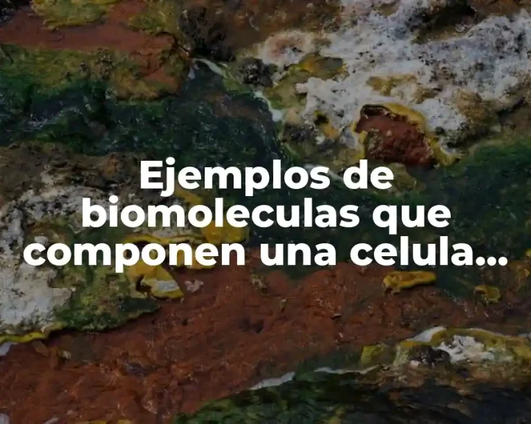 Ejemplos de biomoleculas que componen una celula procariota