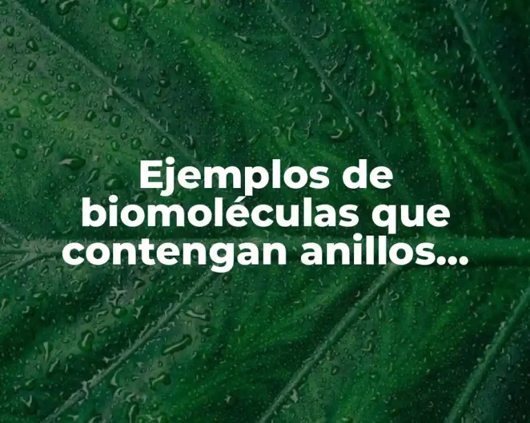 Ejemplos de biomoléculas que contengan anillos aromáticos y Significado