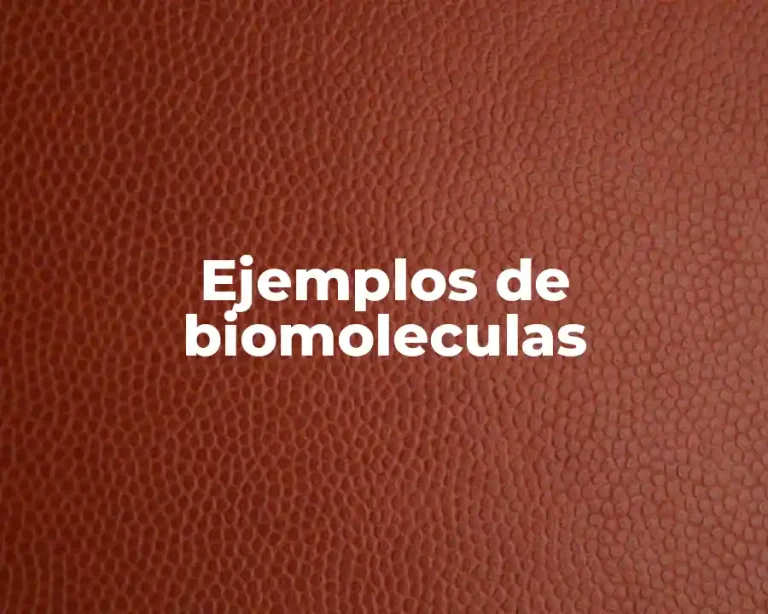 Ejemplos de biomoleculas