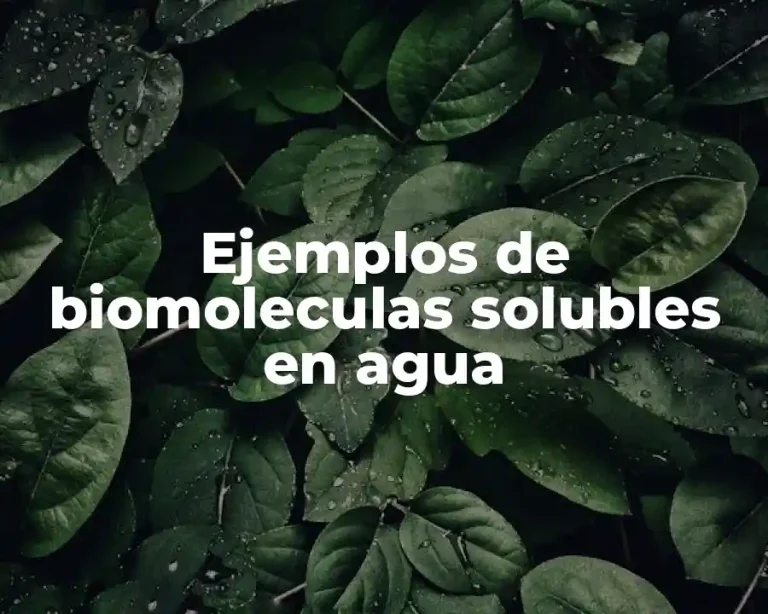 Ejemplos de biomoleculas solubles en agua