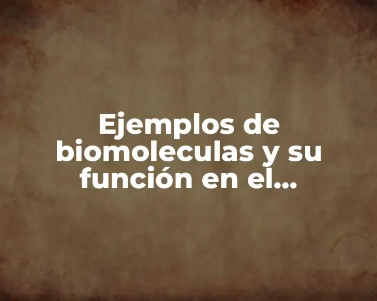Ejemplos de biomoleculas y su función en el organismo