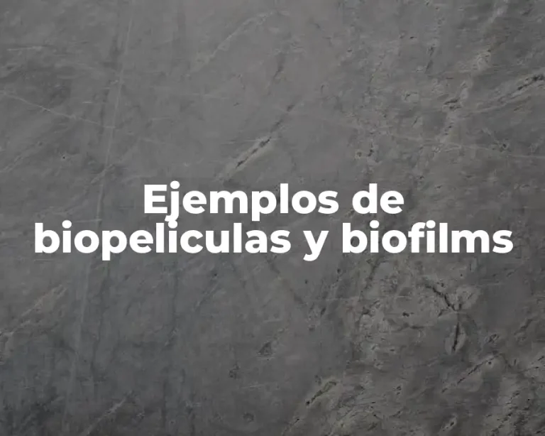 Ejemplos de biopeliculas y biofilms