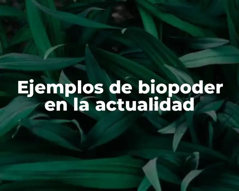 Ejemplos de biopoder en la actualidad
