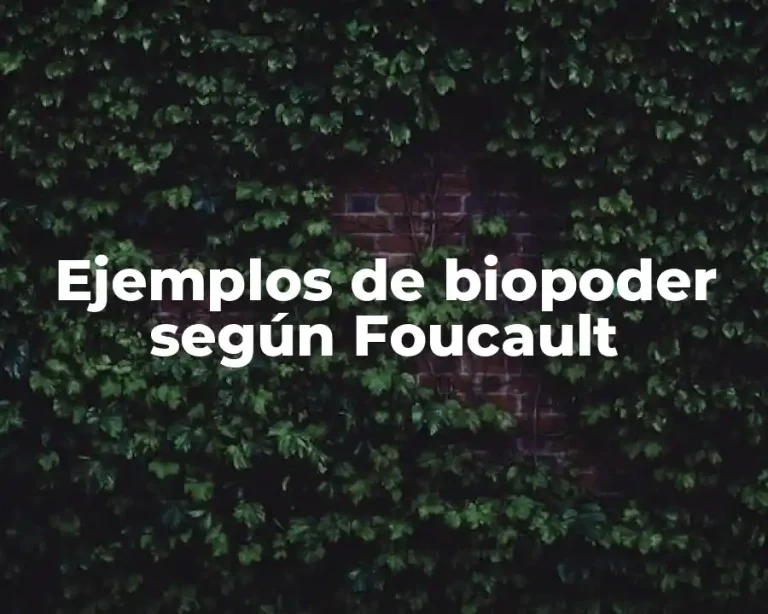 Ejemplos de biopoder según Foucault