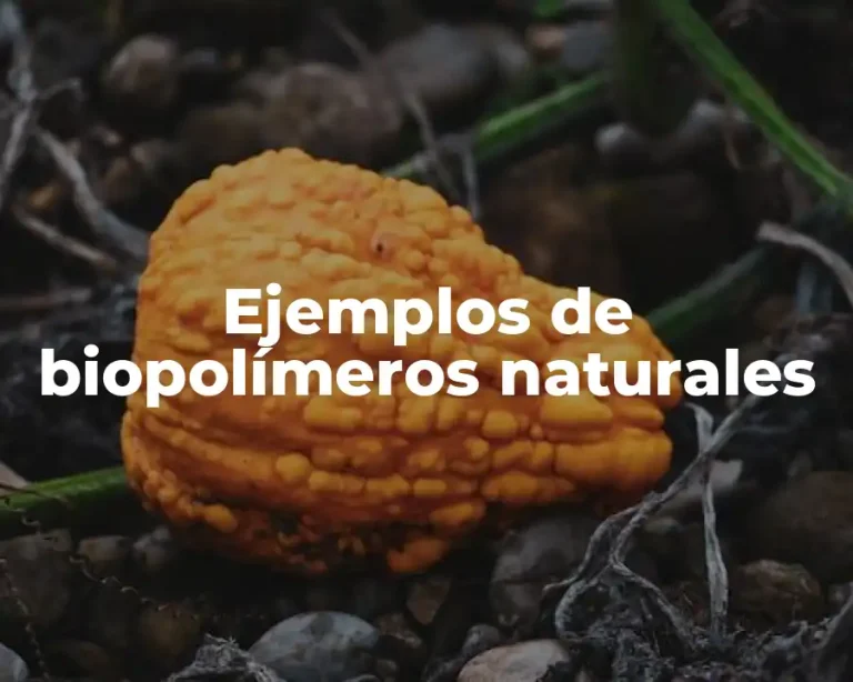 Ejemplos de biopolímeros naturales