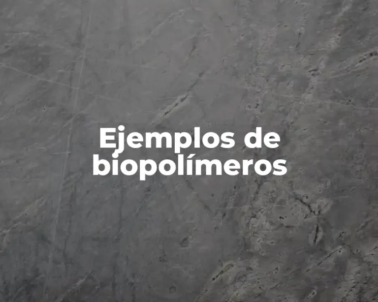 Ejemplos de biopolímeros