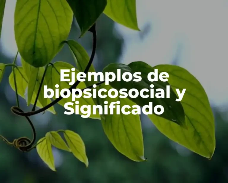 Ejemplos de biopsicosocial y Significado