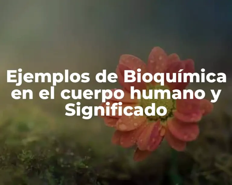 Ejemplos de Bioquímica en el cuerpo humano y Significado