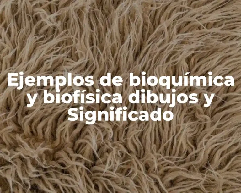 Ejemplos de bioquímica y biofísica dibujos y Significado