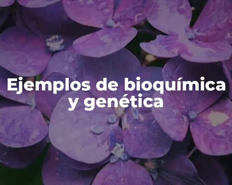 Ejemplos de bioquímica y genética