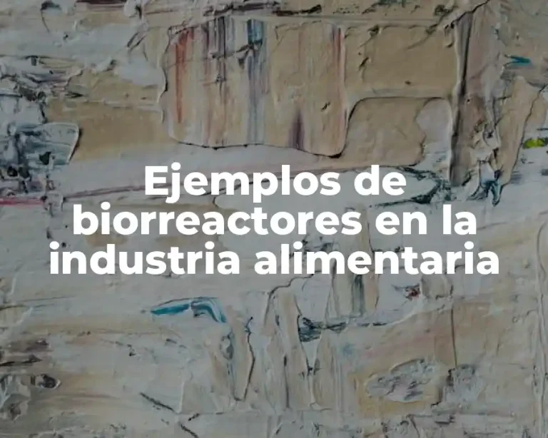 Ejemplos de biorreactores en la industria alimentaria