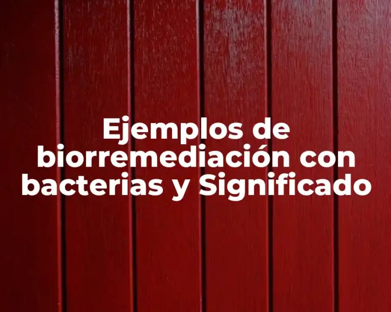 Ejemplos de biorremediación con bacterias y Significado