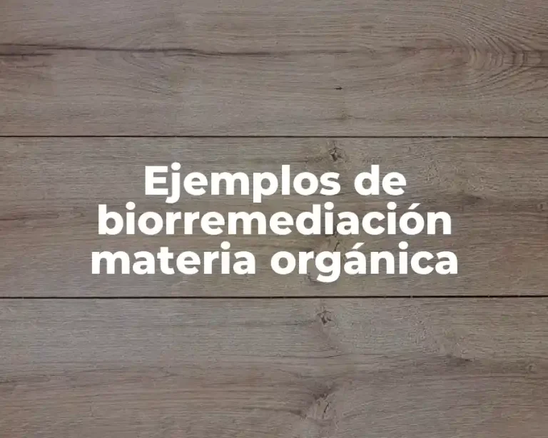 Ejemplos de biorremediación materia orgánica