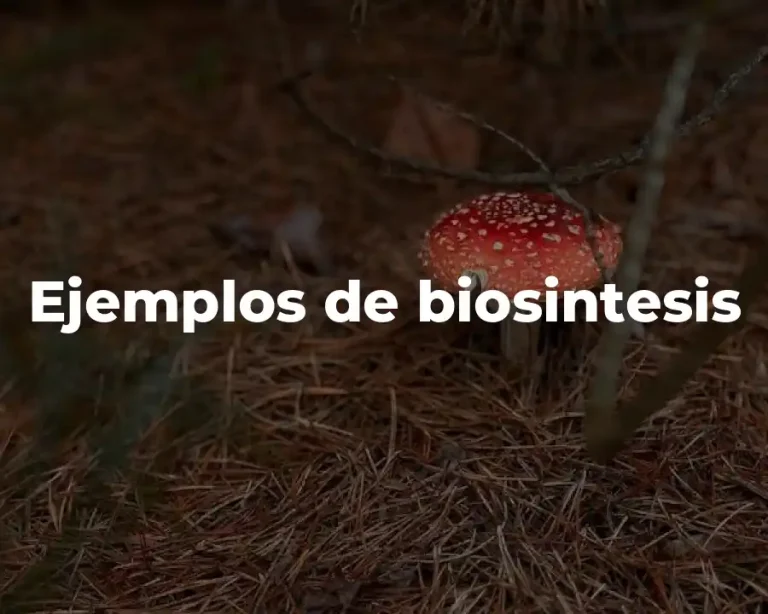 Ejemplos de biosintesis