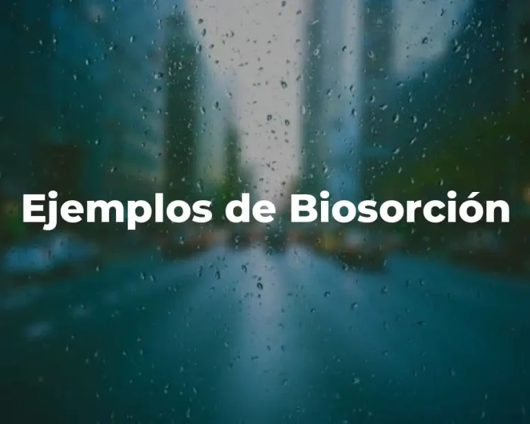 Ejemplos de Biosorción