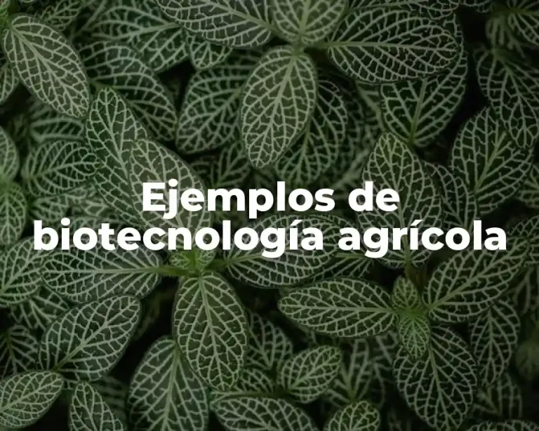 Ejemplos de biotecnología agrícola