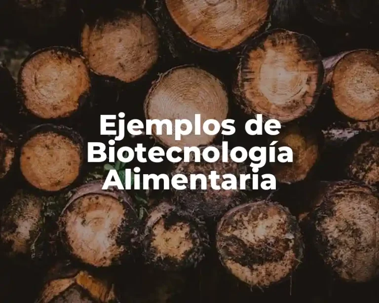 Ejemplos de Biotecnología Alimentaria