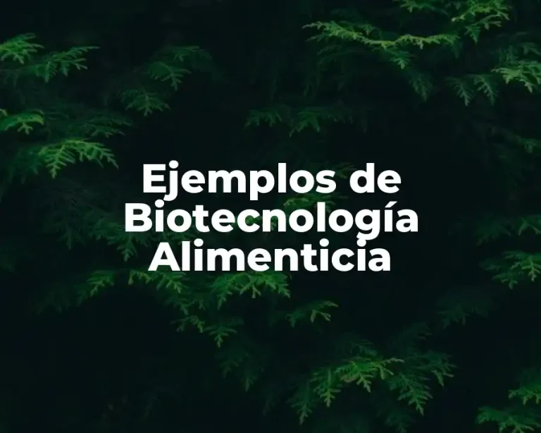 Ejemplos de Biotecnología Alimenticia