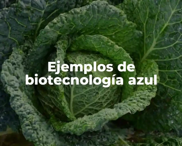 Ejemplos de biotecnología azul