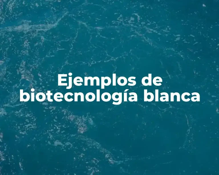 Ejemplos de biotecnología blanca